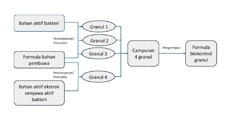 Biokontrol Granul untuk Pengendalian Ganoderma boninense pada Kelapa Sawit