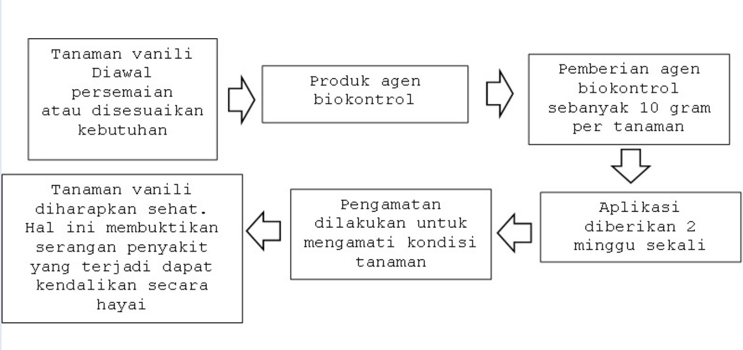 Formulasi Biokontrol Trichoderma untuk Penyakit Busuk Batang Vanili