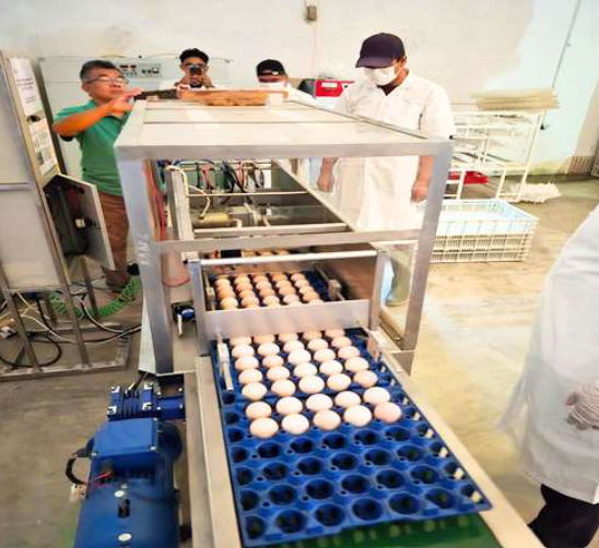 Mesin Injektor Nutrisi Telur Unggas Pratetas Otomatis