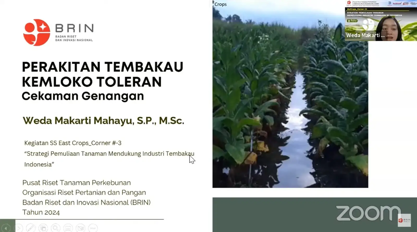 Interface de Bruno Casino montrant les options de contact et de support