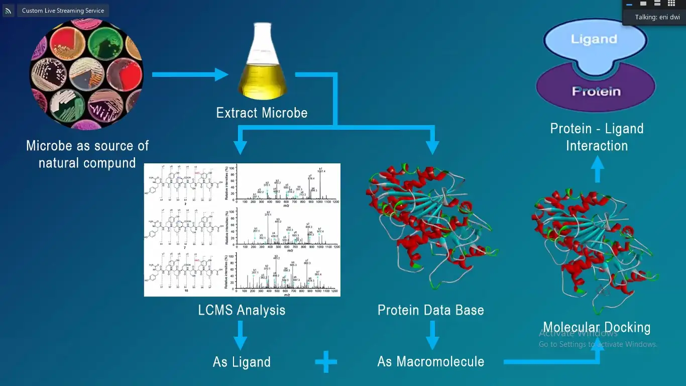 Molecular Docking Molecular Docking As A Tool For The Discovery Of